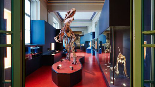 Dinosaurs. Courtesy of Naturhistorisches Museum Basel