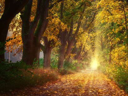 Karl Marx concebia uma história da humanidade dividida em etapas segundo seus modos de produção econômica