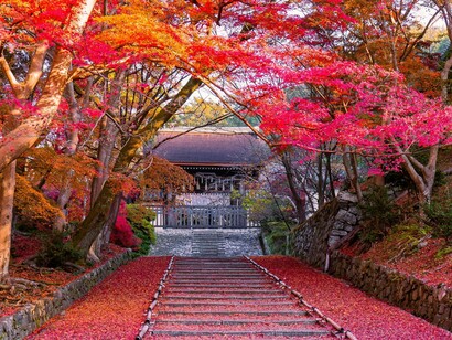 A tranquil pathway leading to a traditional Japanese temple beneath vibrant autumn foliage, representing the serenity of slow travel in Japan