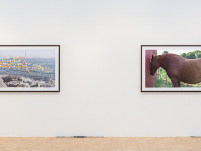 Peter Fraser. Courtesy of Camden Arts Centre