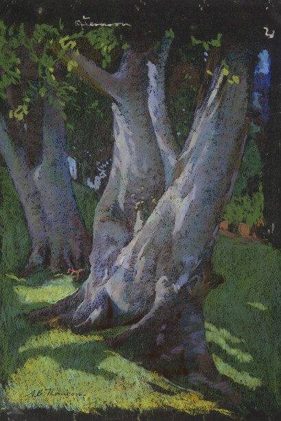 Adam Bruce Thomson, Beech Trees, pastel, 38.5 x 28 cm