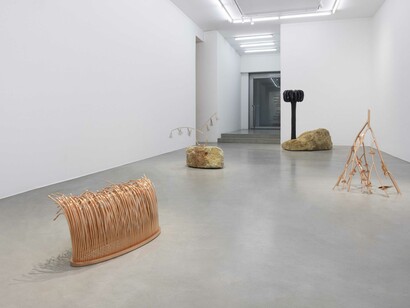 Elena Damiani, Weather bodies, exhibition view. Courtesy of Francesca Minini Gallery