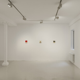 Ana Prata, Toda coisa que vive é um relâmpago, vista de exhibición. Cortesía de Travesía Cuatro