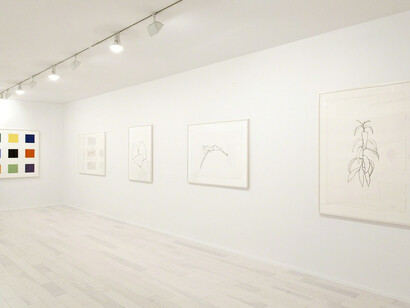 Ellsworth Kelly Prints. Courtesy of Mary Ryan Gallery, Inc