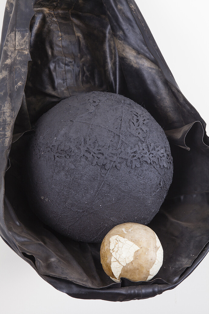 Courtesy Ricardo Brey & Galerie Nathalie Obadia Paris / Brussels © We Document Art