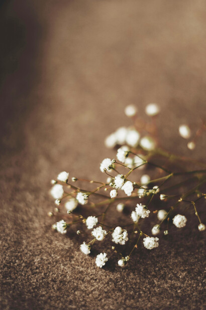 Foto de Flor Pedroza de Osuna