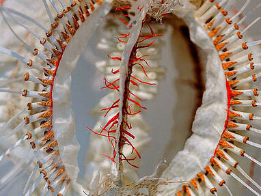 Woman's Hour Craft Prize. Courtesy of Victoria and Albert Museum