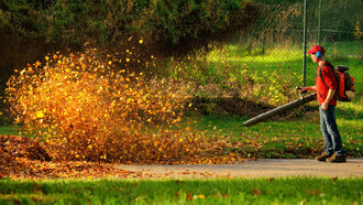 Il soffiatore da giardino, misterioso e onnipresente utensile