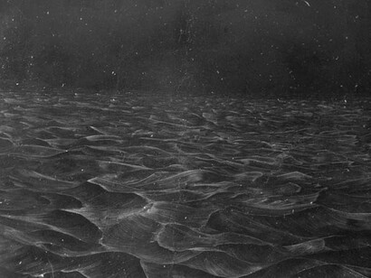 Alan Counihan, Origin 2