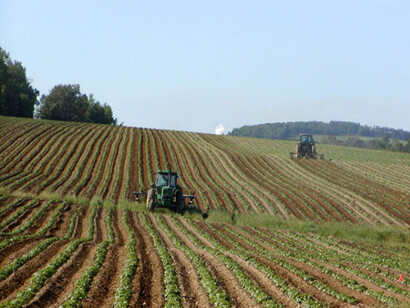 Un campo coltivato in Italia