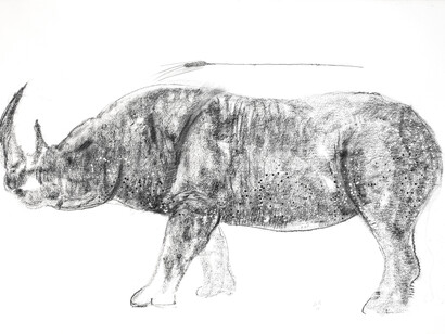 Girolamo Ciulla, 2017, "Rinoceronte con spiga", carboncino e tempera su carta Arches, 100x150 cm
