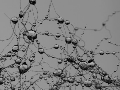 Nuestros cerebros contienen 100.000.000.000.000 unidades elementales de información microscópica estructural