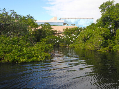 Esgoto tomando conta de uma das margens da Lagoa da Tijuca e transformando as águas em destino final de excrementos humanos. Foto de Mario Moscatelli


