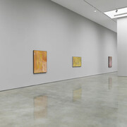Emily Kam Kngwarray, The turning season, exhibition view. Courtesy of Pace Gallery