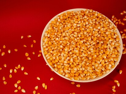 Milhos de pipoca dispostos sobre uma superfície rústica. Cada variedade possui características próprias, capazes de influenciar o sabor e o tamanho dos flocos