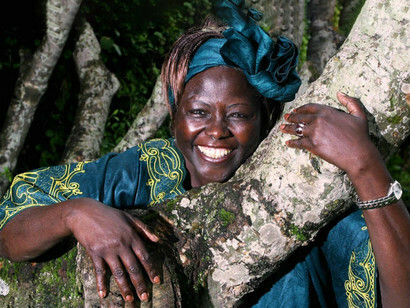 Il Premio Nobel per la pace è stato assegnato nel 2004 all'ambientalista e biologa keniota Wangari Maathai
