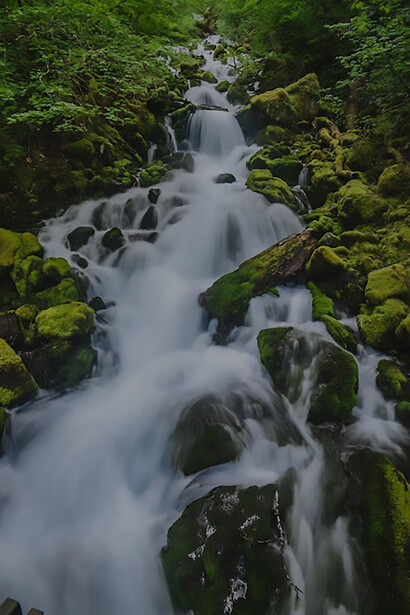 A tranquil cascade descends amidst the lush greenery of the forest, its waters gently caressing the moss-covered rocks, forming a picturesque and serene scene in nature's embrace