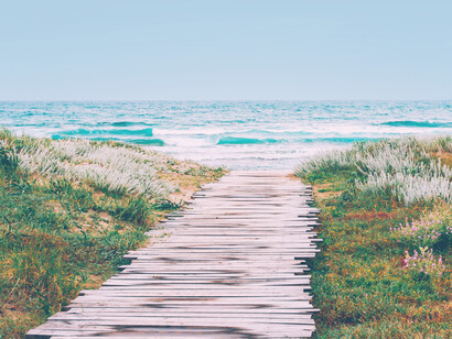 La ciencia es una herramienta que entiende las partes por separado