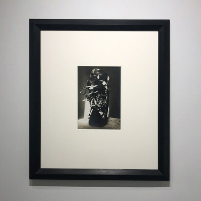 Brancusi's Flowers. Courtesy of Bruce Silverstein Gallery