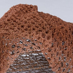 Rhonda Zwillinger. Courtesy of Museum Boijmans