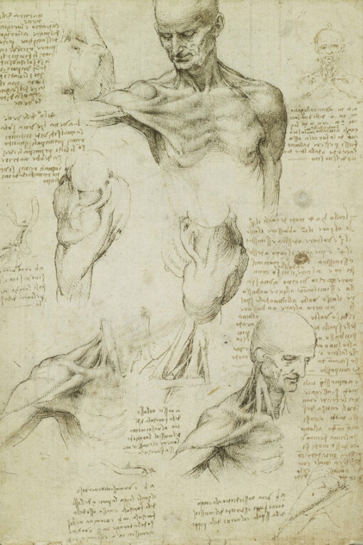 The Renaissance Nude. Courtesy of Royal Academy of Arts