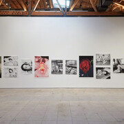 Hana Jinsei. Courtesy of Over the Influence 