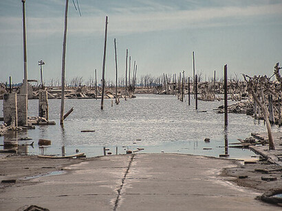 Tras casi tres décadas bajo el agua, Epecuén resurgió mostrando un paisaje fantasmagórico de ruinas y árboles petrificados