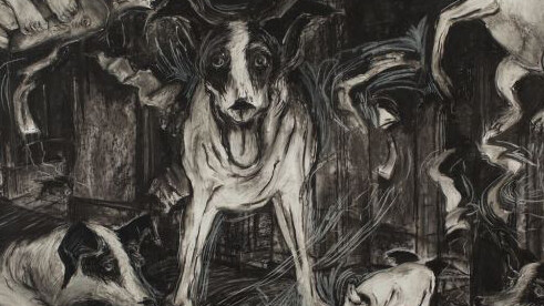Heart of a dog