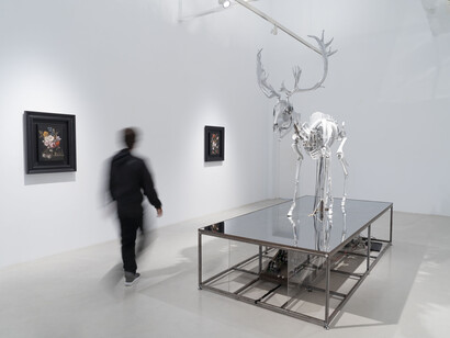 Mat Collishaw, Vivisystem, vista de exhibición. Cortesía de la Galería Hilario Galguera