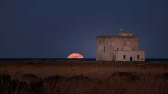 Riserva naturale statale Torre Guaceto è un'area naturale protetta situata sulla costa adriatica dell'alto Salento, a pochi chilometri dai centri di Carovigno e San Vito dei Normanni e 17 km a nord di Brindisi