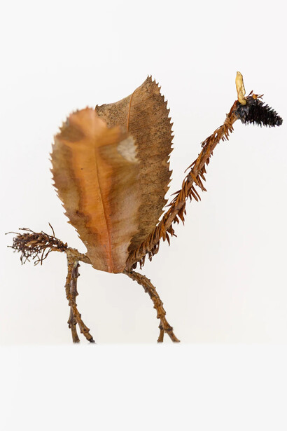 Isabella Kirkland, Shaggy necked llama (Lama hirsuti), 2026. Courtesy of Hosfelt Gallery