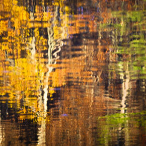 Tammy Trocki, Water Abstracts 6