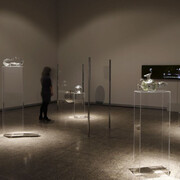 Soliloquium. Courtesy of MUSAC