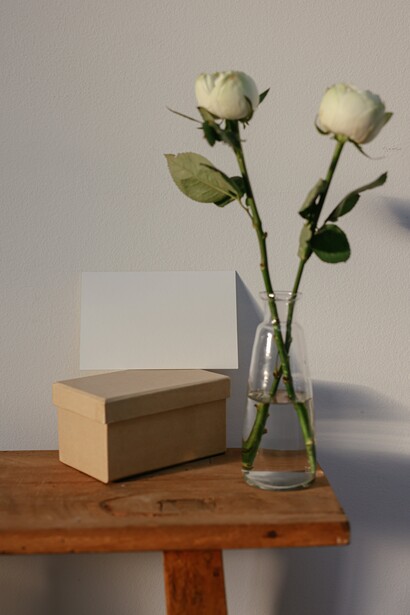 No vaso, duas rosas brancas se embebedam de vida