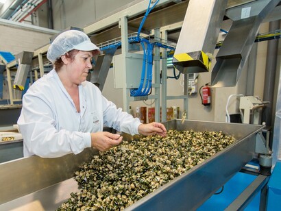 Operaria de una fábrica de caramelos