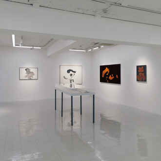 Nankoku Hidai and Shiryu Morita, exhibition view. Courtesy of Tokyo Gallery + BTAP