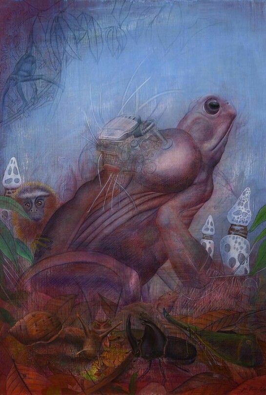 Sapo del Yasuni, color pencil, acrylic on wood, 23.75” x 17.75” unframed, 26” x 20” framed