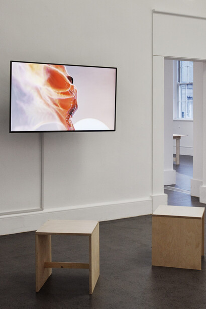 A Fiction Close to Reality. Courtesy of Irish Museum of Modern Art
