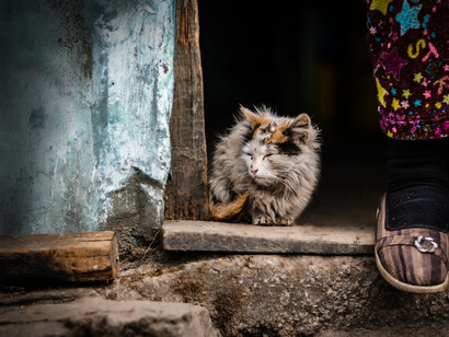 The only good social protection is a universal social protection.