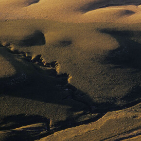 Terry Evans, Konza prairie after spring burning (detail), 1979. Courtesy of Georgia Museum of Art