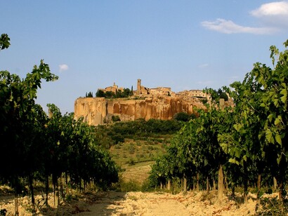I vigneti che circondano Orvieto, Italia. Foto di Isabella Ceccarelli