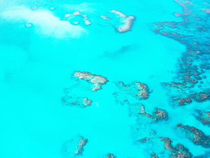 La Grande Barriera Corallina