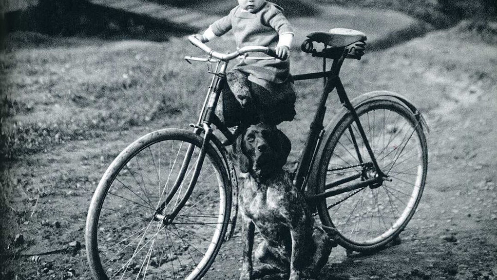 August Sander, Forester’s Child, dettaglio, Westerwald, 1931