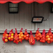 Nurit Yarden. Courtesy of The Herzliya Museum of Contemporary Art