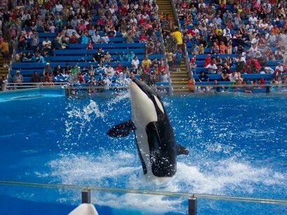 SeaWorld San Antonio