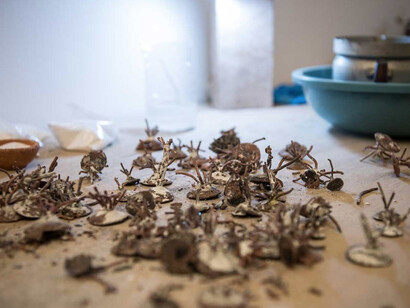 Ximena Garrido. Courtesy of Malba 