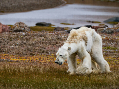 The reduction of emissions to be carried out in the next 9 years is, also according to current scientific knowledge, impossible to achieve