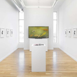 Ella Weber, A lazy love, exhibition view. Courtesy of Western Exhibitions