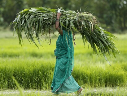 Casi la mitad de la fuerza de trabajo agrícola en países en vías de desarrollo son mujeres