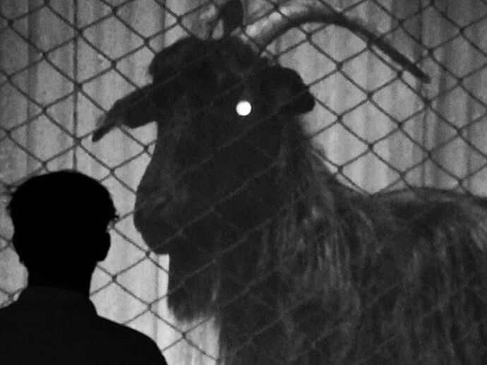 Pino Pipoli, I'm not well anywhere, 2010, video installation, detail, Ph. Alvaro Caleca, Courtesy the artist